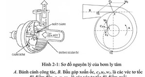 Cấu tạo và nguyên lý hoạt động của bơm ly tâm